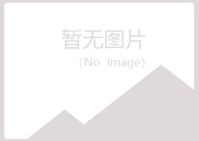 兴山区涟漪司机有限公司